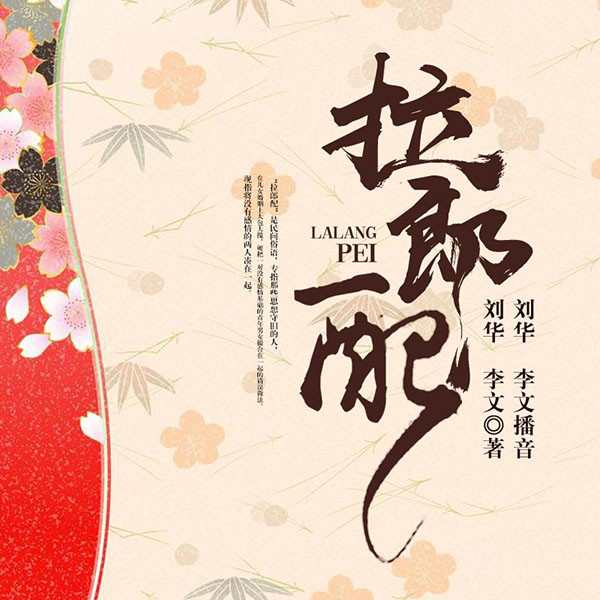电视剧：拉郞配
