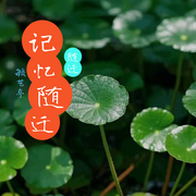 记忆随迁-佚名-敏艺亭