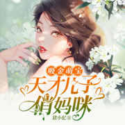 吸金萌宝：天才儿子俏妈咪|AI专辑-佚名-苏小刀_一刀苏苏AI