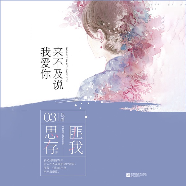 来不及说我爱你|钟汉良李小冉主演|匪我思存作品