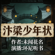 汴梁少年状|少年神探|北宋奇案|朝野秘闻-随风-未闻花名