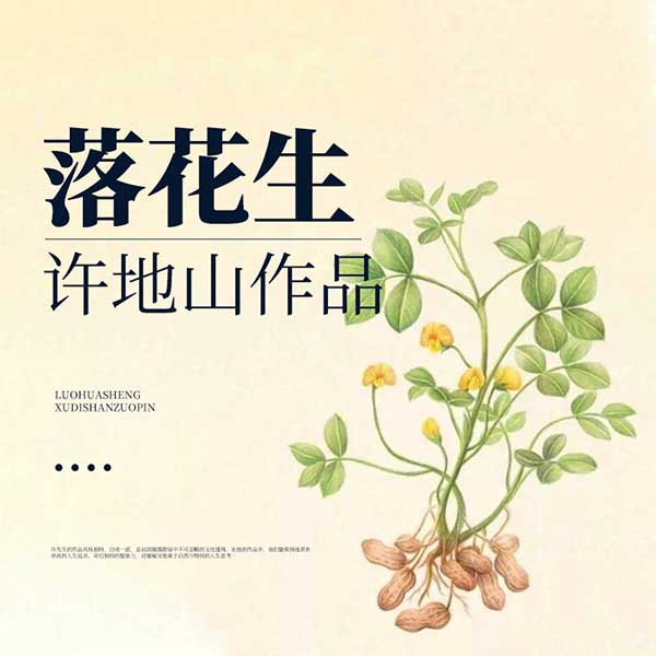 落花生|许地山作品