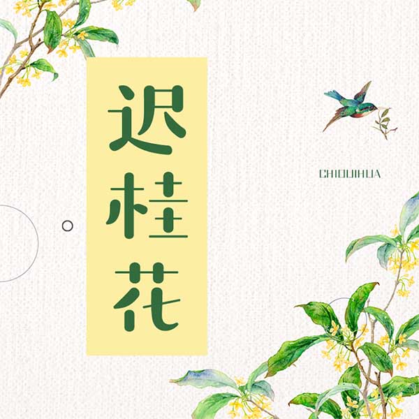 迟桂花
