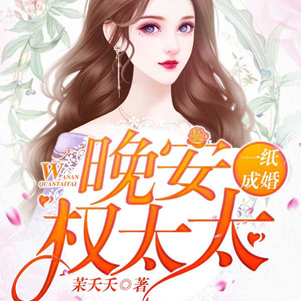 一纸成婚:晚安,权太太
