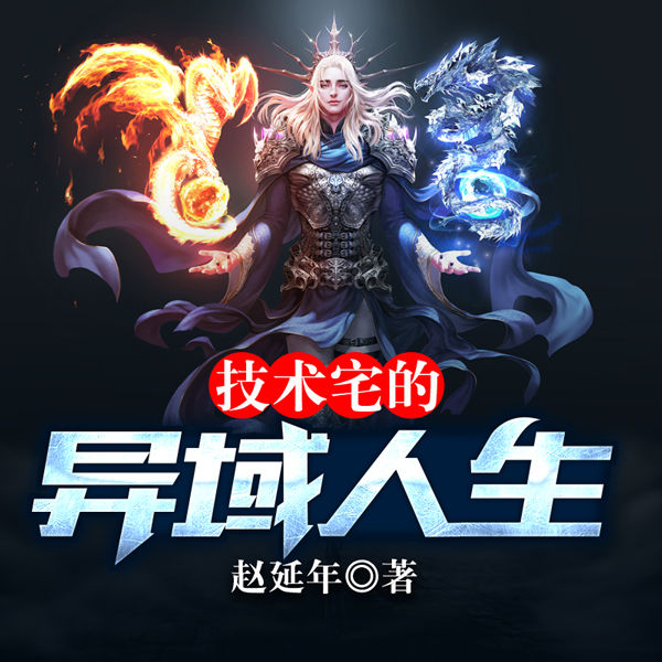 技术宅的异域人生