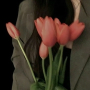 夜独|一听入心-茉莉乌龙茶-小酷说书