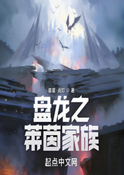盘龙之莱茵家族-星星·点灯-小蜜蜂_次元口袋
