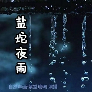 盐坨夜雨|百姓传奇|知青往事|自然声画-紫堂琉璃 演播--喜马拉雅