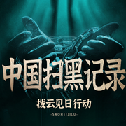 中国扫黑行动纪录-佚名-听鉴文化