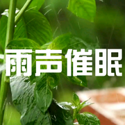 下雨声深度助眠|放松减压催眠-佚名-安心音乐