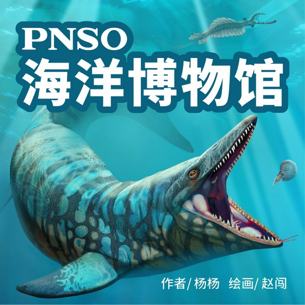 PNSO海洋博物馆|儿童科学知识|海洋动物