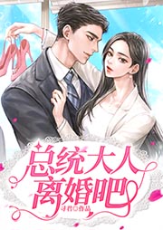 总统大人离婚吧-寻君-笑月