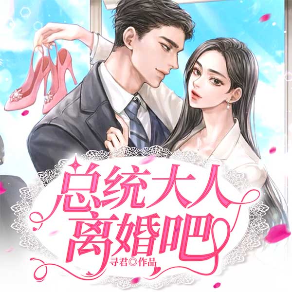 总统大人离婚吧
