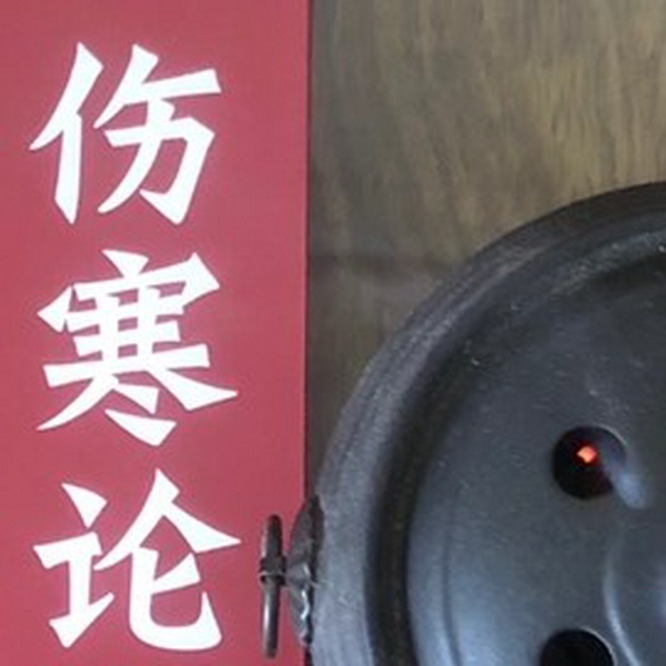 伤寒论条文跟读版