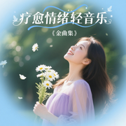疗愈情绪轻音乐金曲集-佚名-环尼疗愈音乐空间