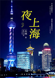 夜，上海|上海爱情故事-木林-菲行空间