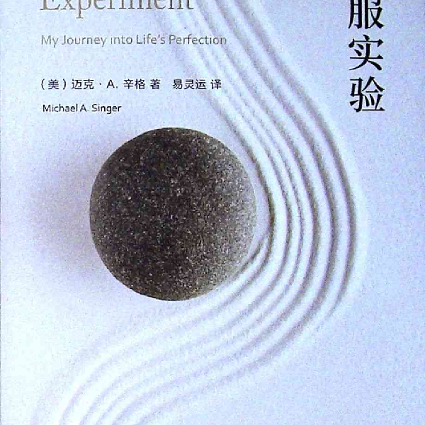 臣服实验-《纽约时报》畅销书榜冠军图书