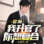 官潮，我升官了你想复合|官运亨通|逆袭翻身|见义勇为|青云直上-一寸烟灰-6月小说