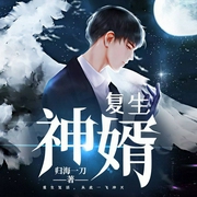 复生神婿-归海一刀-黄鹂有声，九玺