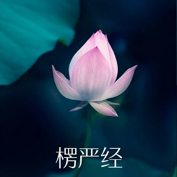 楞严经|原文诵读