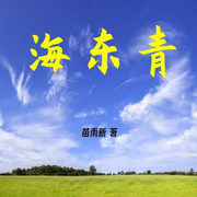 海东青-佚名-解忧杂货铺