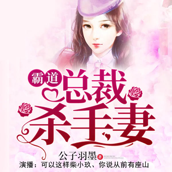 霸道总裁杀手妻