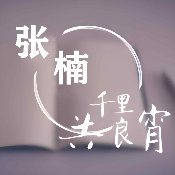 千里共良宵—张楠专辑