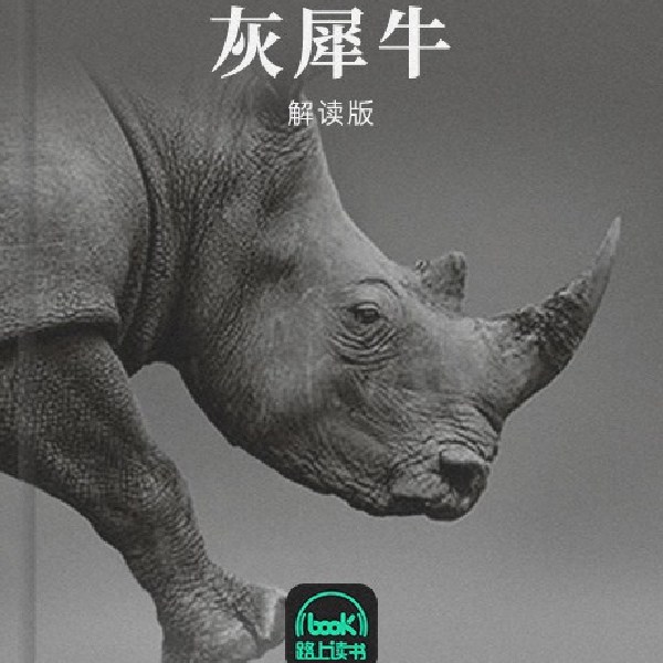 灰犀牛