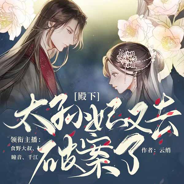 殿下、太孙妃又去破案了