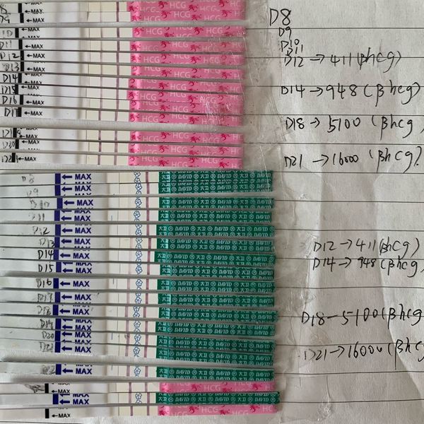 意念灰试管