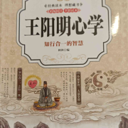 新时代的阳明心学--清珠-
