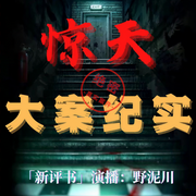 驚天大案紀實|真實案件實錄【新評書-佚名-野泥川