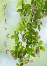 岁月清浅深爱你-佚名-加点蜂蜜