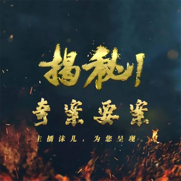揭秘：奇案要案纪实（精选）