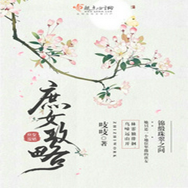 庶女攻略|锦心似玉》原著