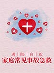 遇險自救 家庭常見事故急救-許俊霞、肖玲玲-賈府二少