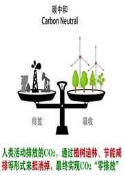 碳达峰与碳中和-佚名-秦恪