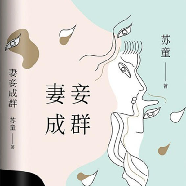 妻妾成群|红粉|苏童代表作
