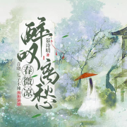 醉叹离愁春微凉|古言虐恋多人剧|轻权谋--音晓-佚名