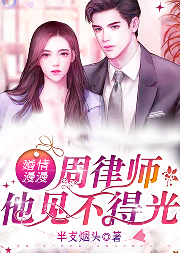 婚情漫漫，周律师他见不得光-半支烟头-鸿达以太