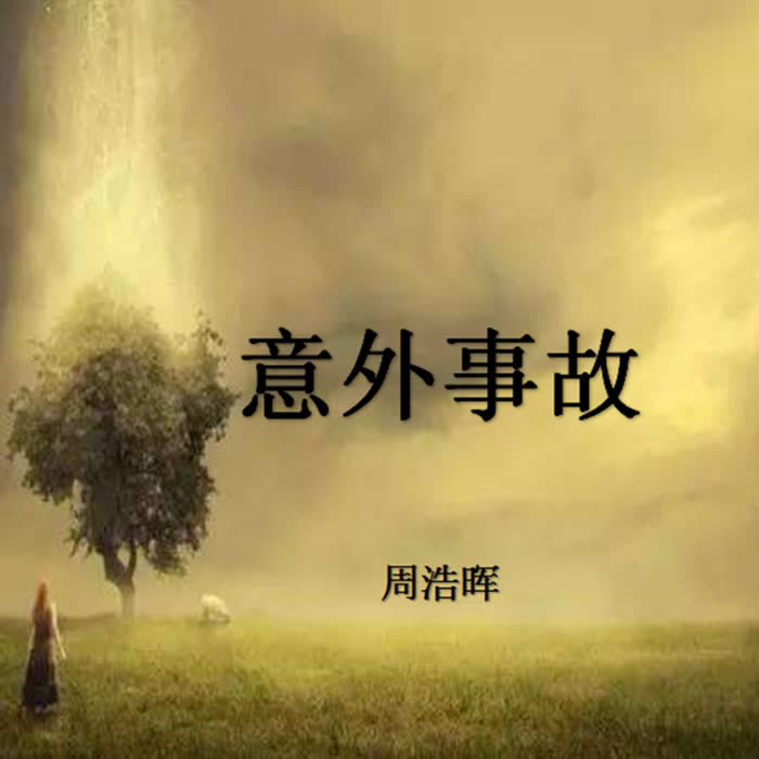 刑警罗飞·意外事故·周浩晖·完结-佚名-播音左右成妍