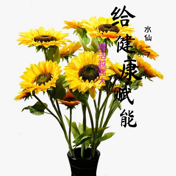 给健康赋能