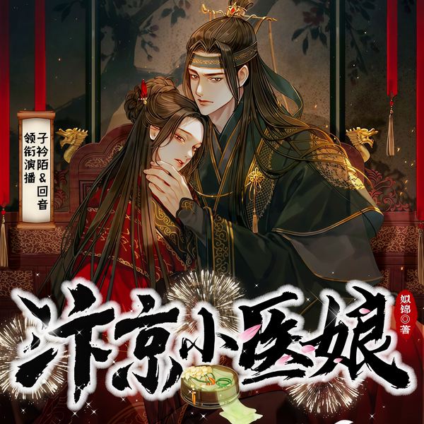 汴京小医娘