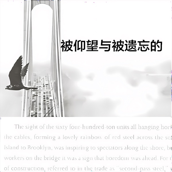 被仰望与被遗忘的|官方正版|纽约风貌|非虚构写作