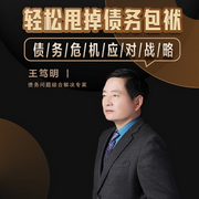 輕松甩掉債務包袱-王篤明-主播王篤明