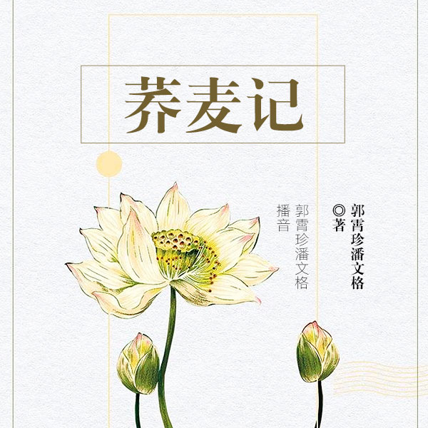 荞麦记