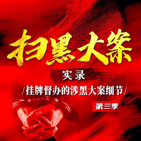 扫黑大案实录第三季