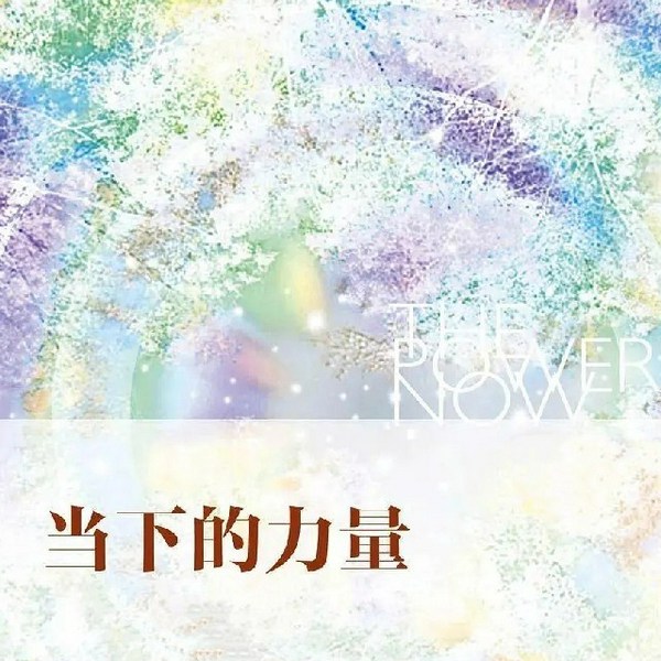 当下的力量|最佳完结版
