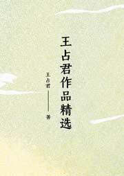 王占君作品精選-王占君-海南老呂
