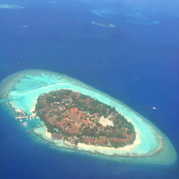 为何说